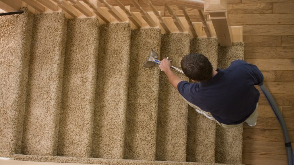 Area Rug Cleaning Calgary: When Does Your Rug Need Professional Cleaning?