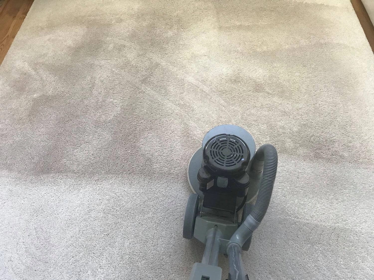 Professional area rug cleaning using Chem-Dry equipment